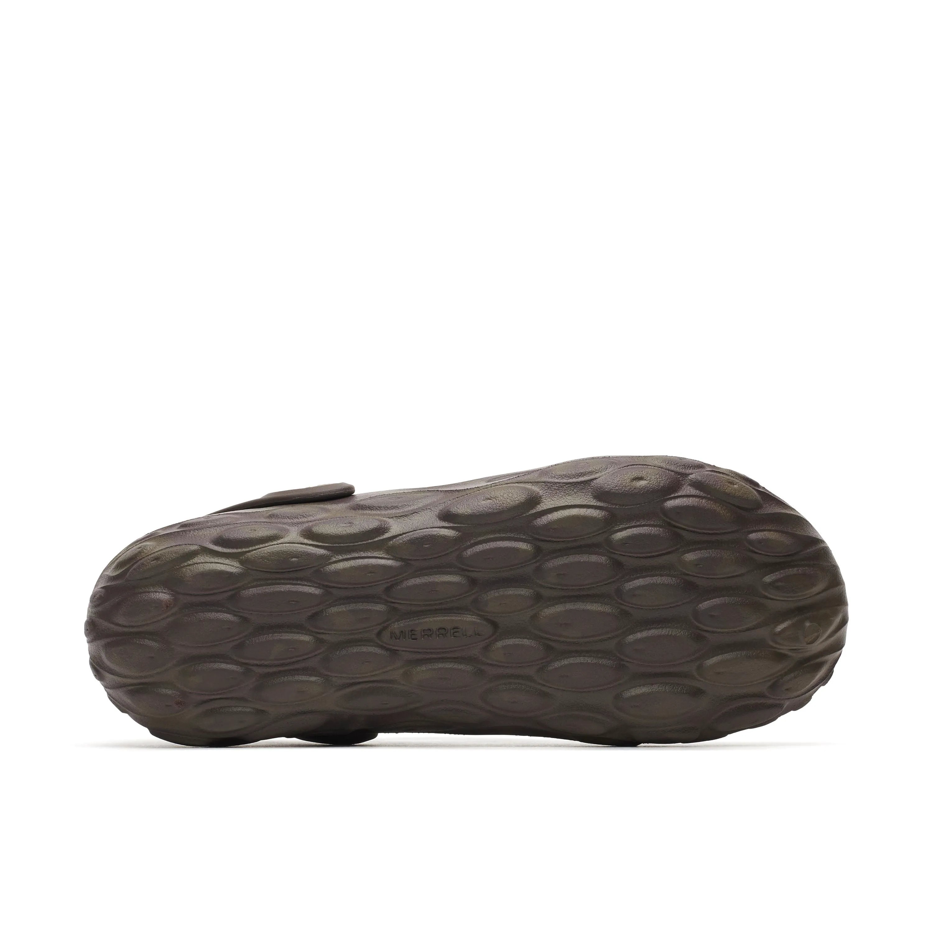 Carob